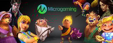 microgaming histoire