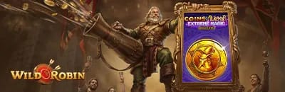 Wildrobin casino fr