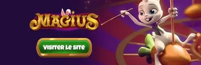 magius casino banni&egrave;re