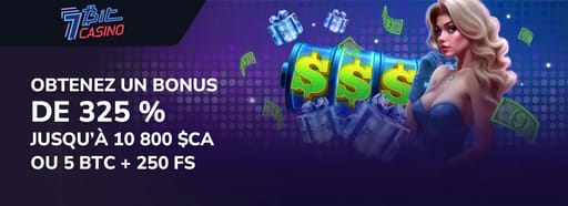 Visiter 7Bit Casino